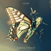 cover Amon Tobin - Isam