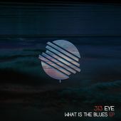 cover 313 Eye - What is the Blues EP - FRZ034