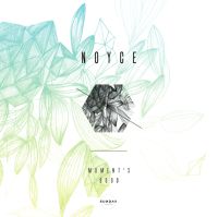 Noyce - moment's good