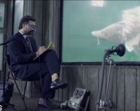 The Uncluded - The Aquarium