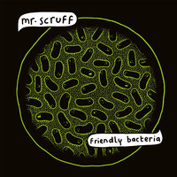 cover Mr Scruff - friendly bacteria