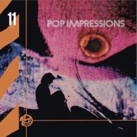 cover Sampleurs de Janko Nilovic - Pop' Impressions