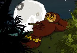 The Four Owls - Silent Flight