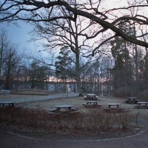 The Gentleman Losers - Make We Here Our Camp of Winter