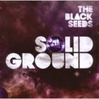 The Black Seeds - solid ground