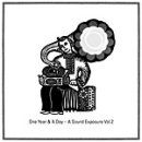 One year and a day - A sound exposure Vol 2