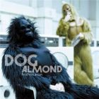 Dog Almond - Feathers & Sun