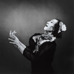 Antony and the Johnsons - The Crying Light