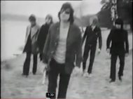 George Baker Selection - Little Green Bag