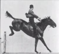 Robot Koch - hard to find